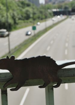 Ratte auf Autobahnbruecke